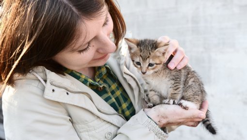 Photo of girl holding a kitten