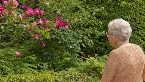 photo of elderly woman in the garden