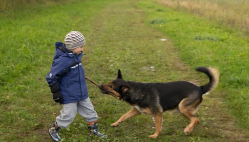 Photo of a boy and his dog outdoors