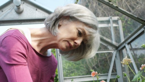 Photo of a woman gardening