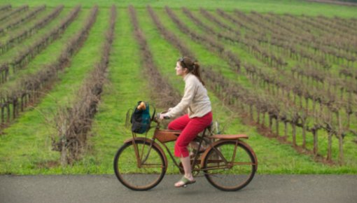 Photo of a woman on a bicycle