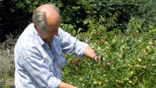 Photo of a man gardening