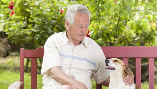 Photo of man sitting with a dog