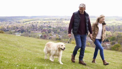 Photo of a couple taking a walk