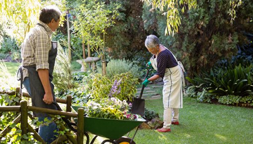 Photo of two people working in the garden