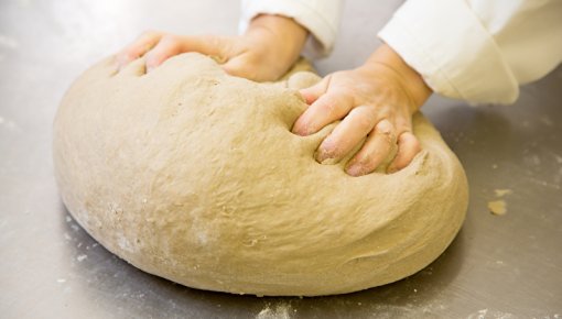 Photo of hands kneading dough