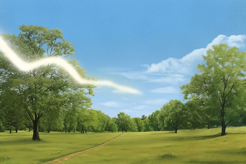 Illustration: Possible signs of retinal detachment: Flashes of light