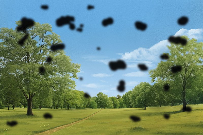 Illustration: Dark patches that flow across your field of vision