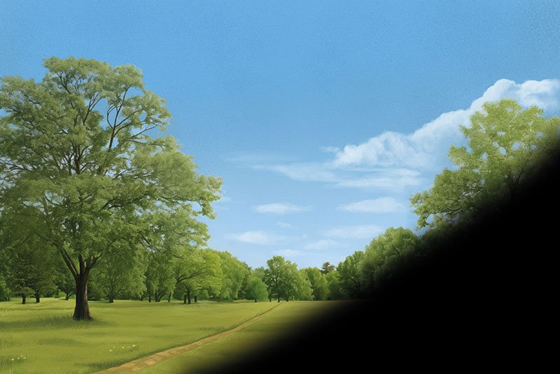 Illustration: Shadows that cover the field of vision