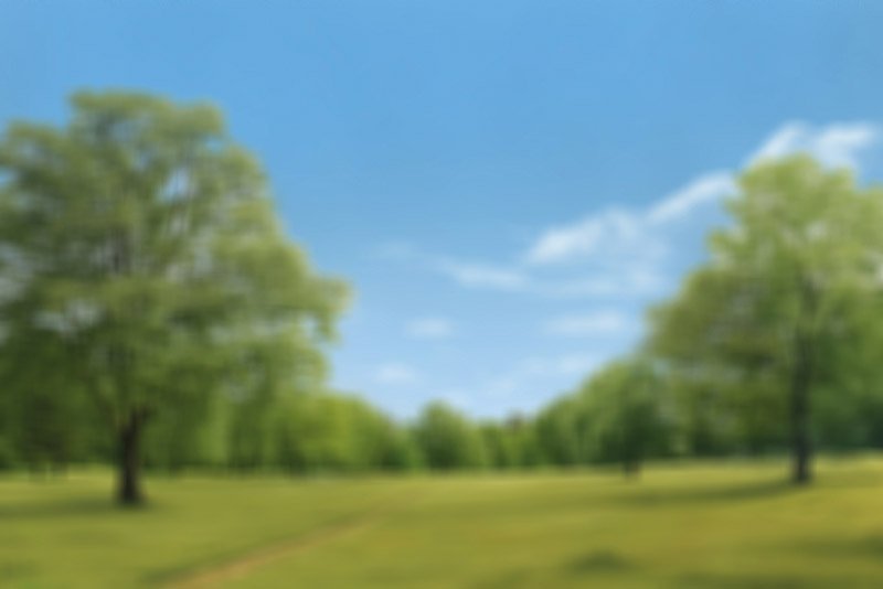 Illustration: Blurry or distorted vision