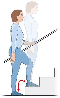 Illustration: Exercise 1: Step-ups – as described in the article