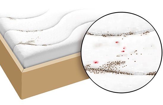 This illustration shows a mattress with bedbug droppings and a detailed view of droppings that look like dark spots and blood stains left behind by the bedbugs.