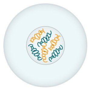 Illustration: Before a cell divides, its entire genetic information is copied