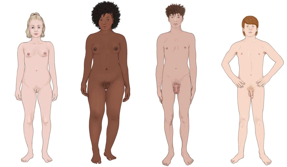 Front view of four adolescents with different body shapes and skin colors
