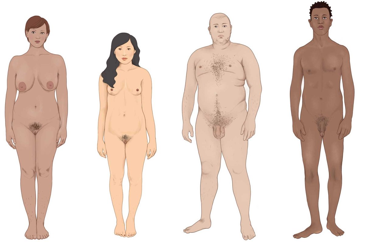 Front view of four adults with different body shapes and skin colors