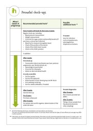 Preview of prenatal check-ups